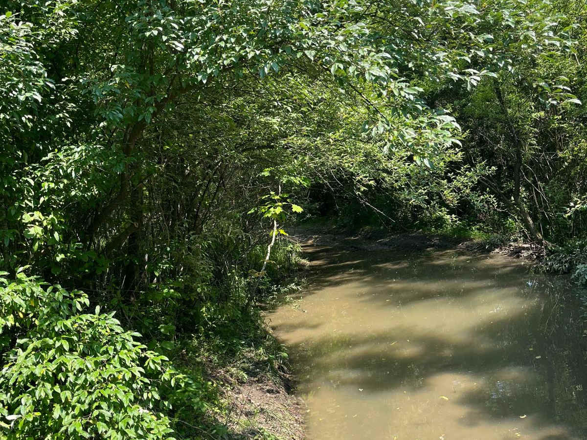 Trail 8 photo 3