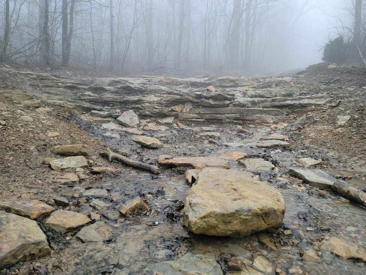60 - Bridge Branch trail photo