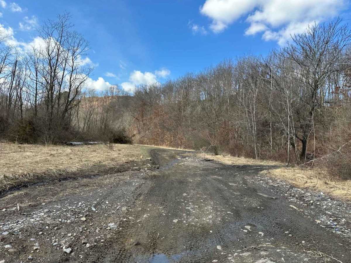 Ashland 38 trail photo