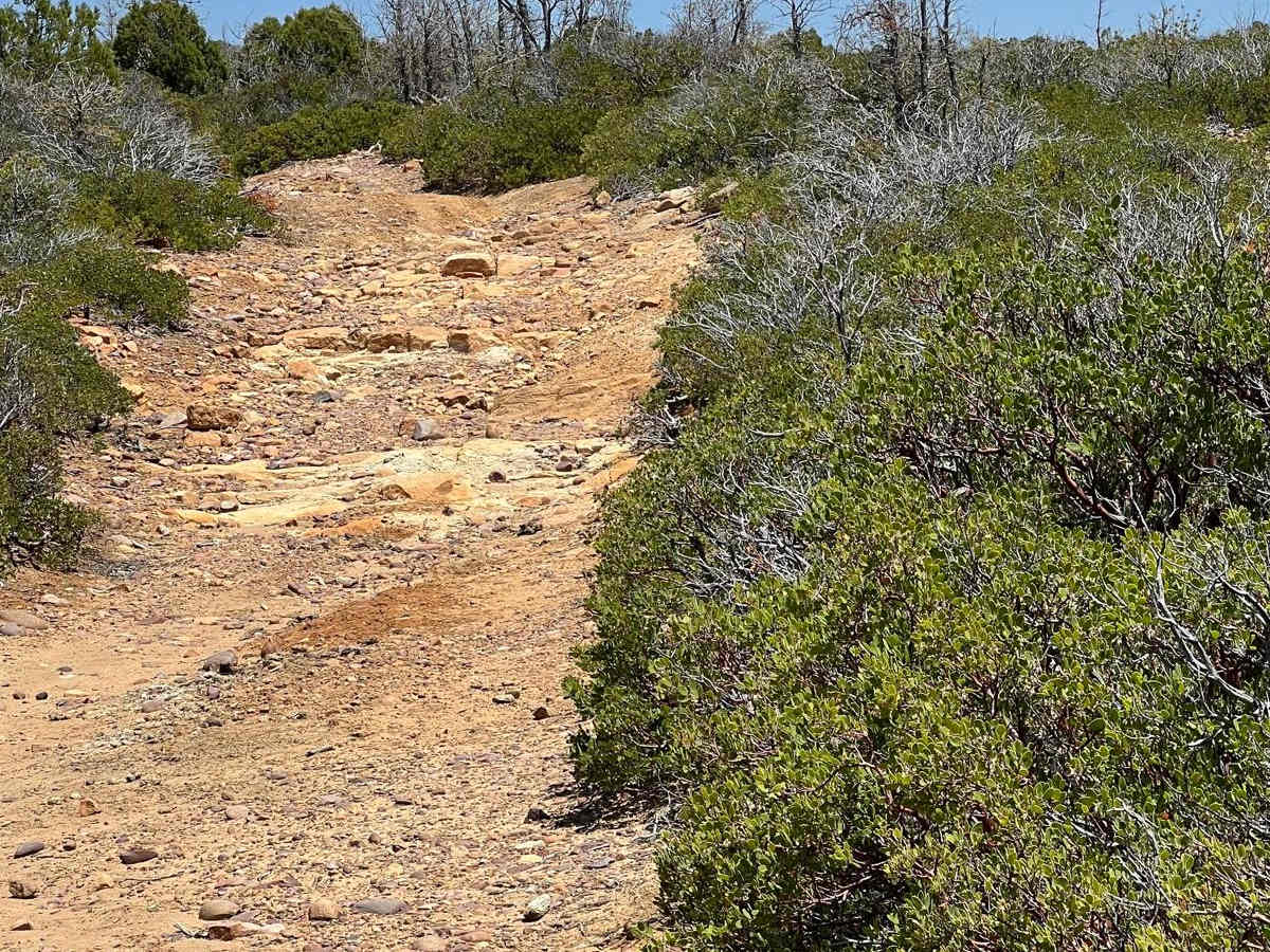 Telephone Ridge photo 2