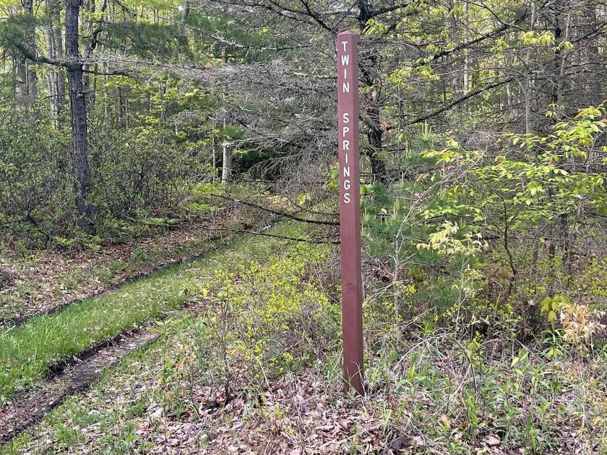 Twin Springs Trail trail photo