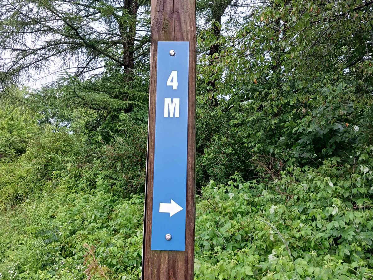 Trail 4M - Rock Run Recreation Area trail photo