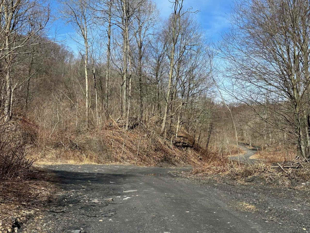 Pennsyl Tucky Highway photo 4