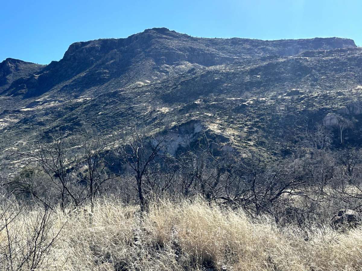 Fossil Creek to Irving Trailhead photo 5