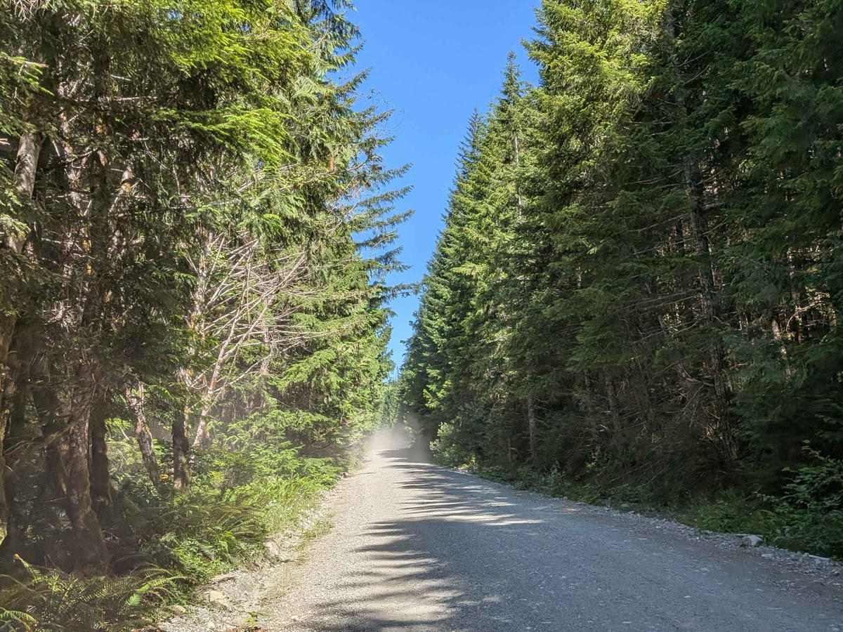 Gold River Road photo 4