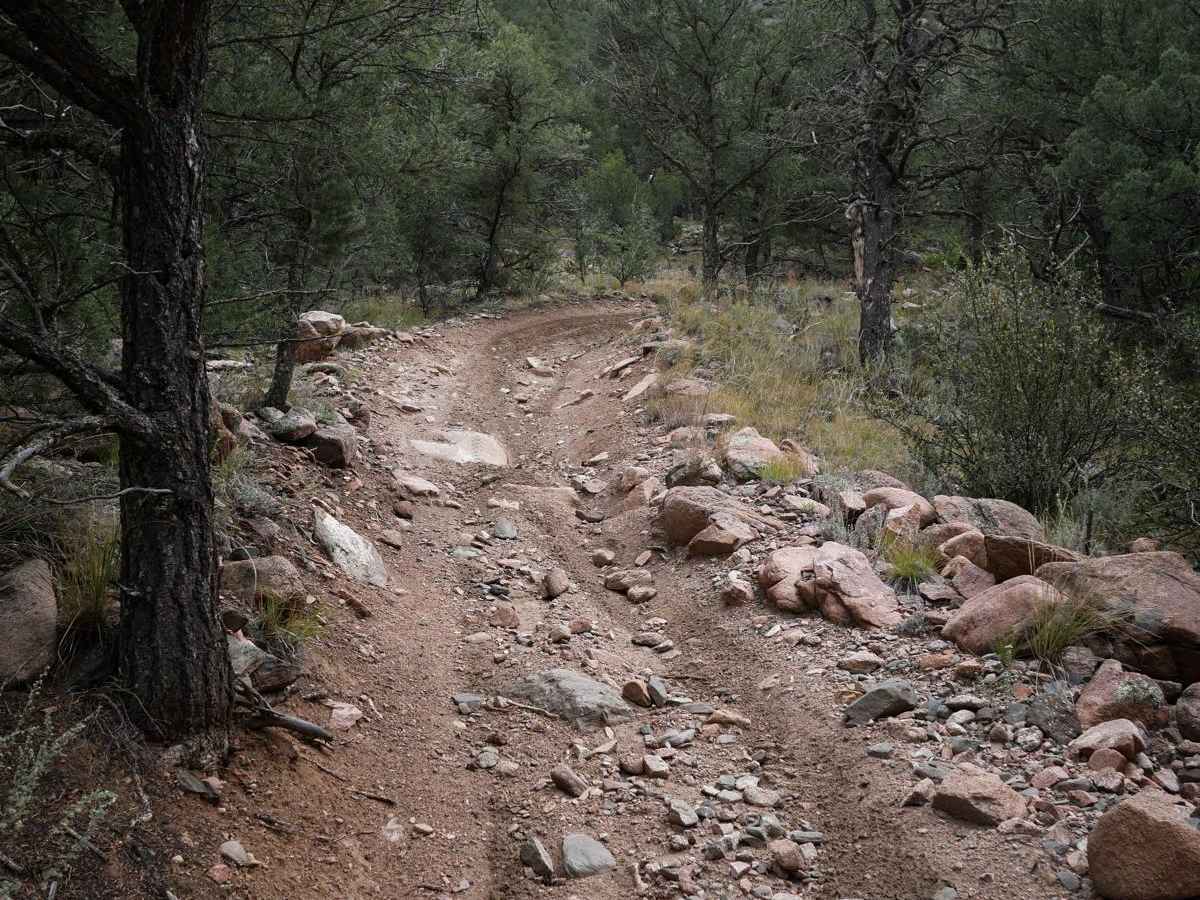 6036 ATV photo 5