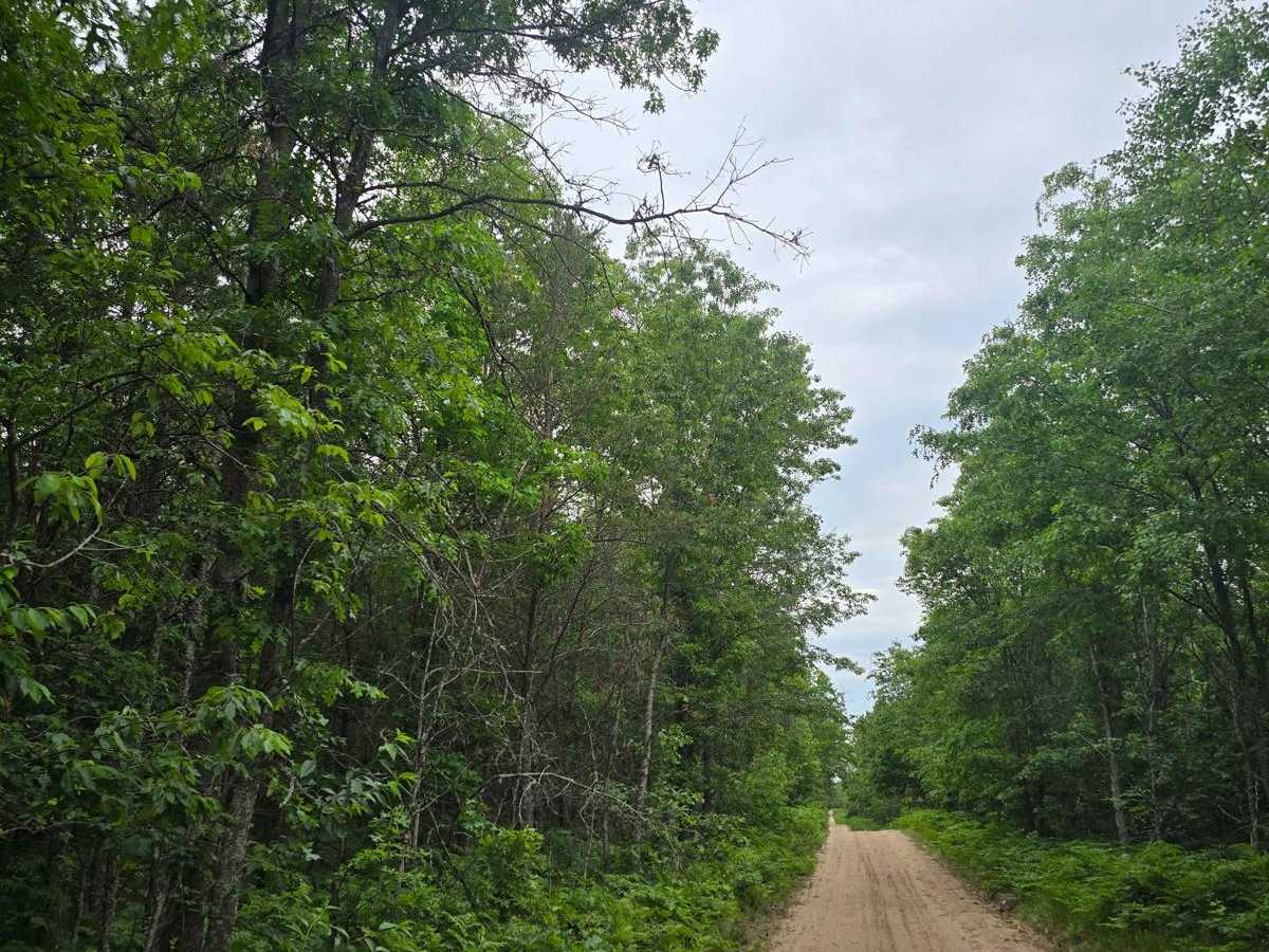 Hougton Creek Trail photo 6