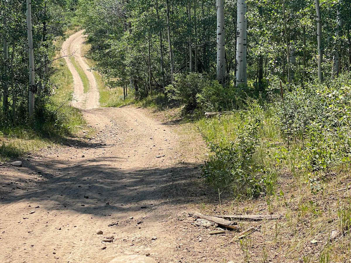 Racetrack (FR 70514) trail photo
