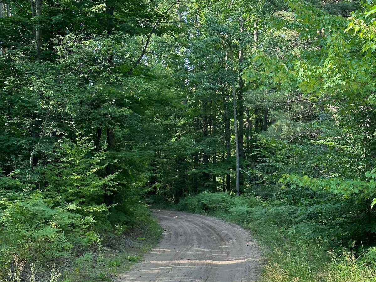 Oviatt Spur/Trail 3 photo 5