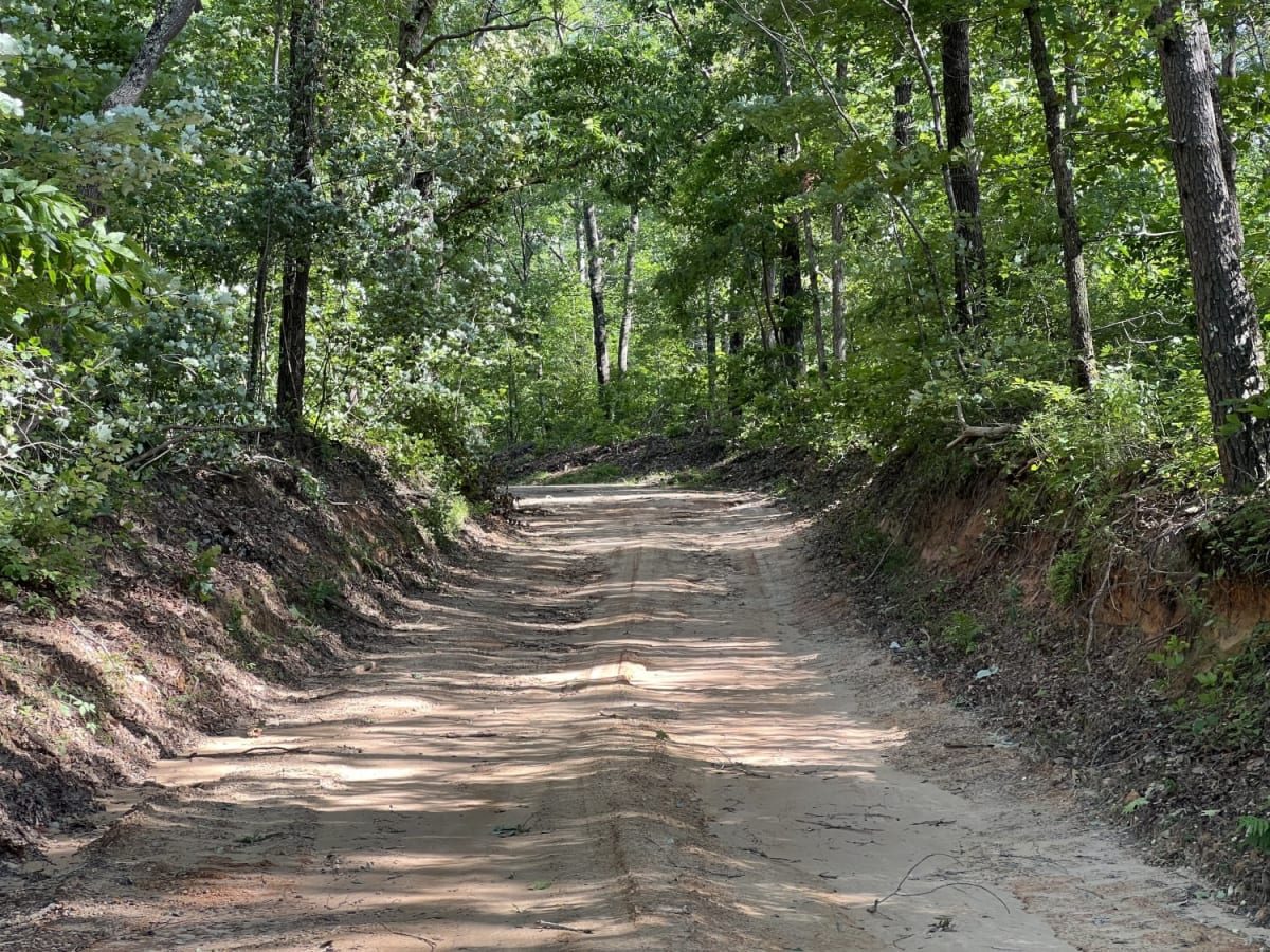 Fork Creek Road photo 3