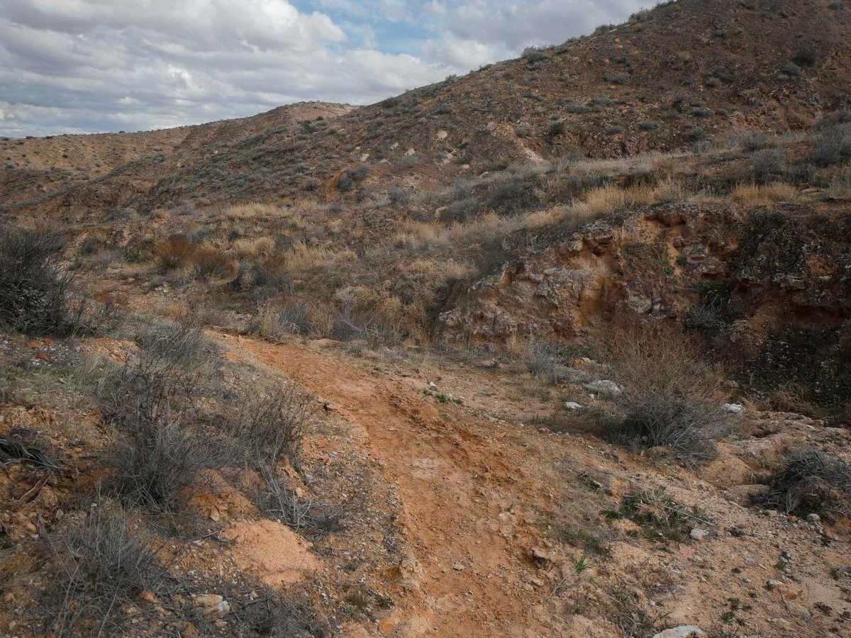 Dutchman to Powerline Single Track photo 4