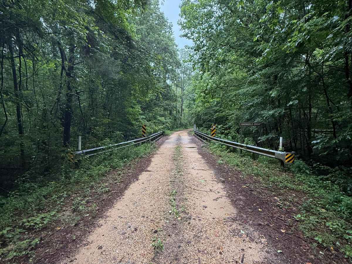 FS 533 trail photo