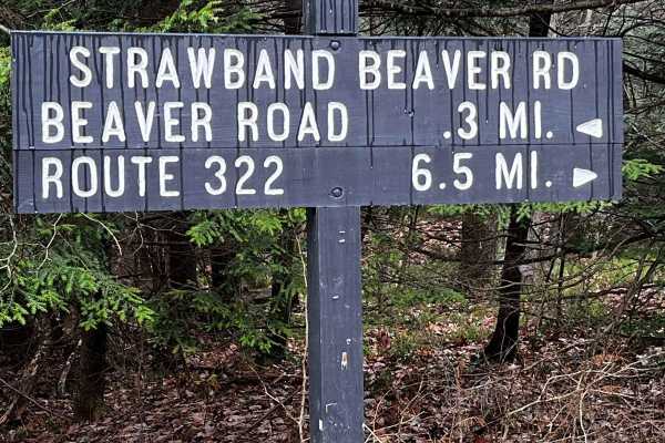 Strawband Beaver Road