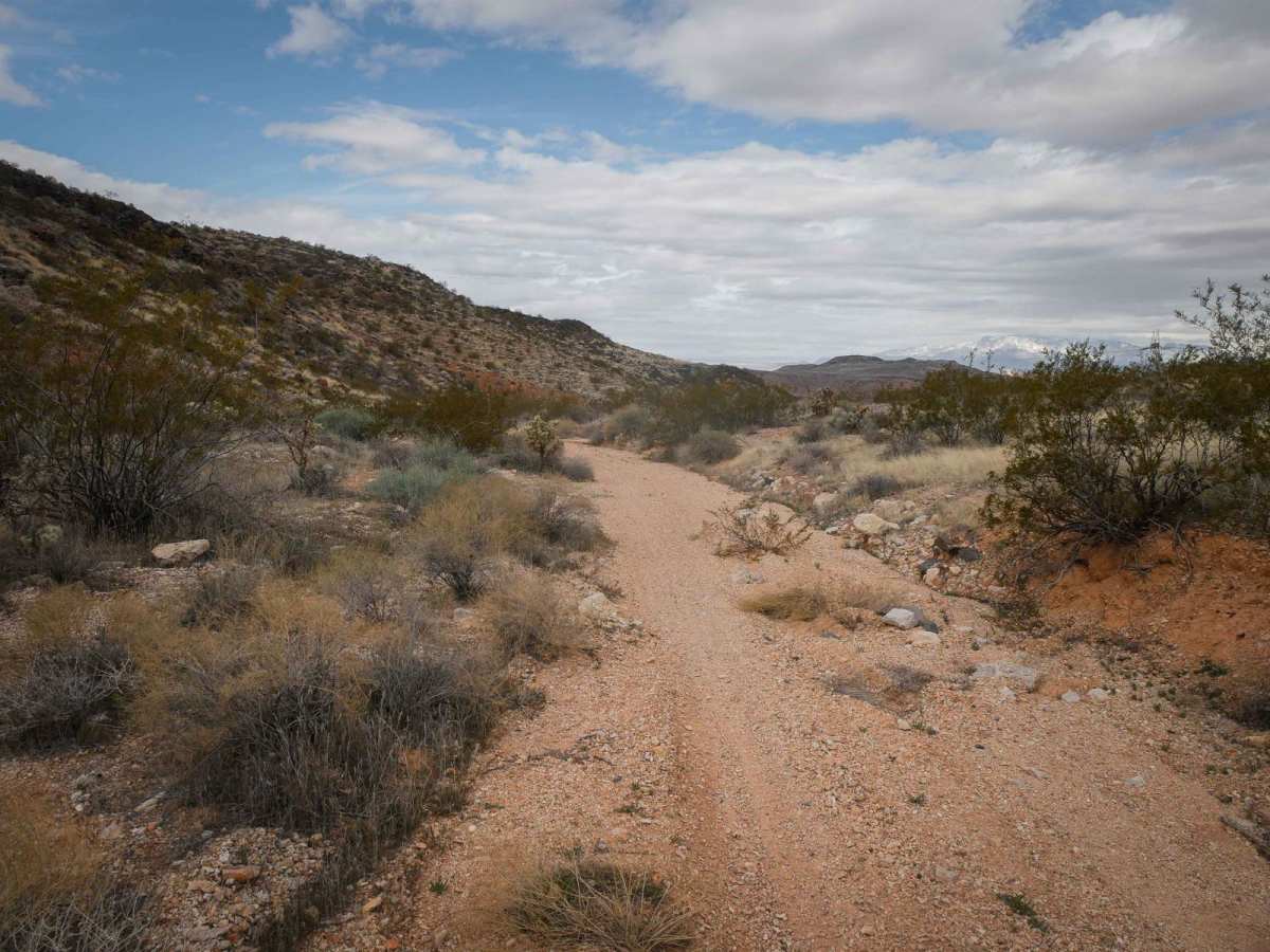 Dutchman Wash Single Track photo 5