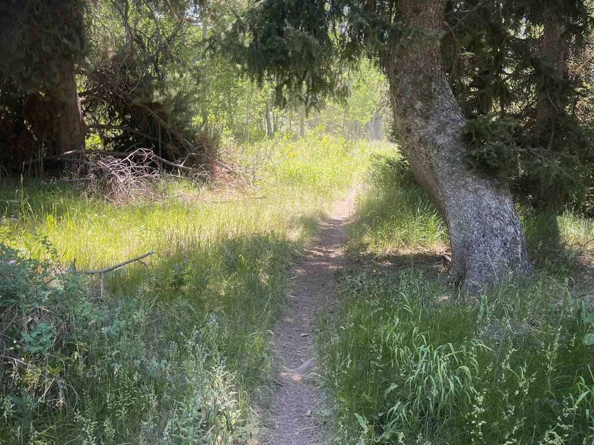 Rock Creek photo 3