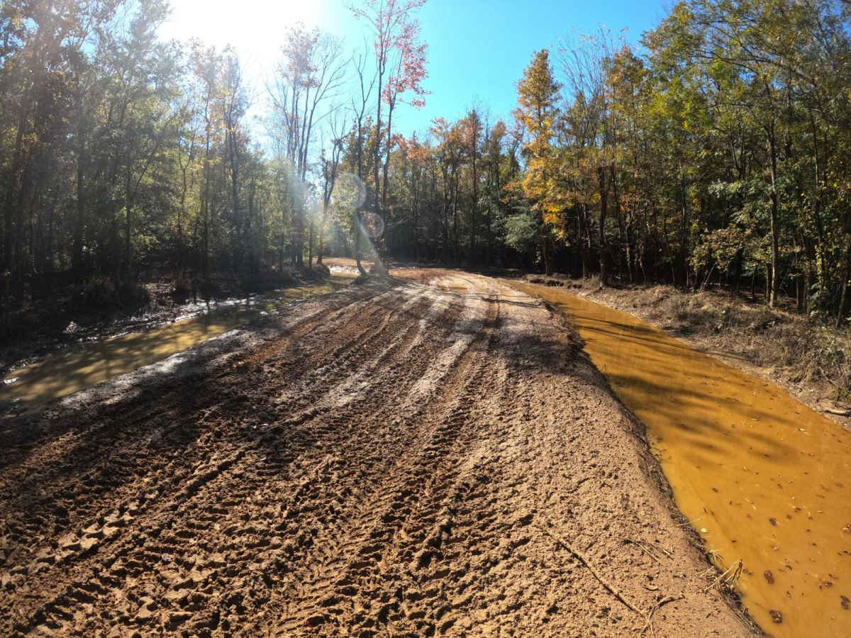 Restoration Trail photo 5