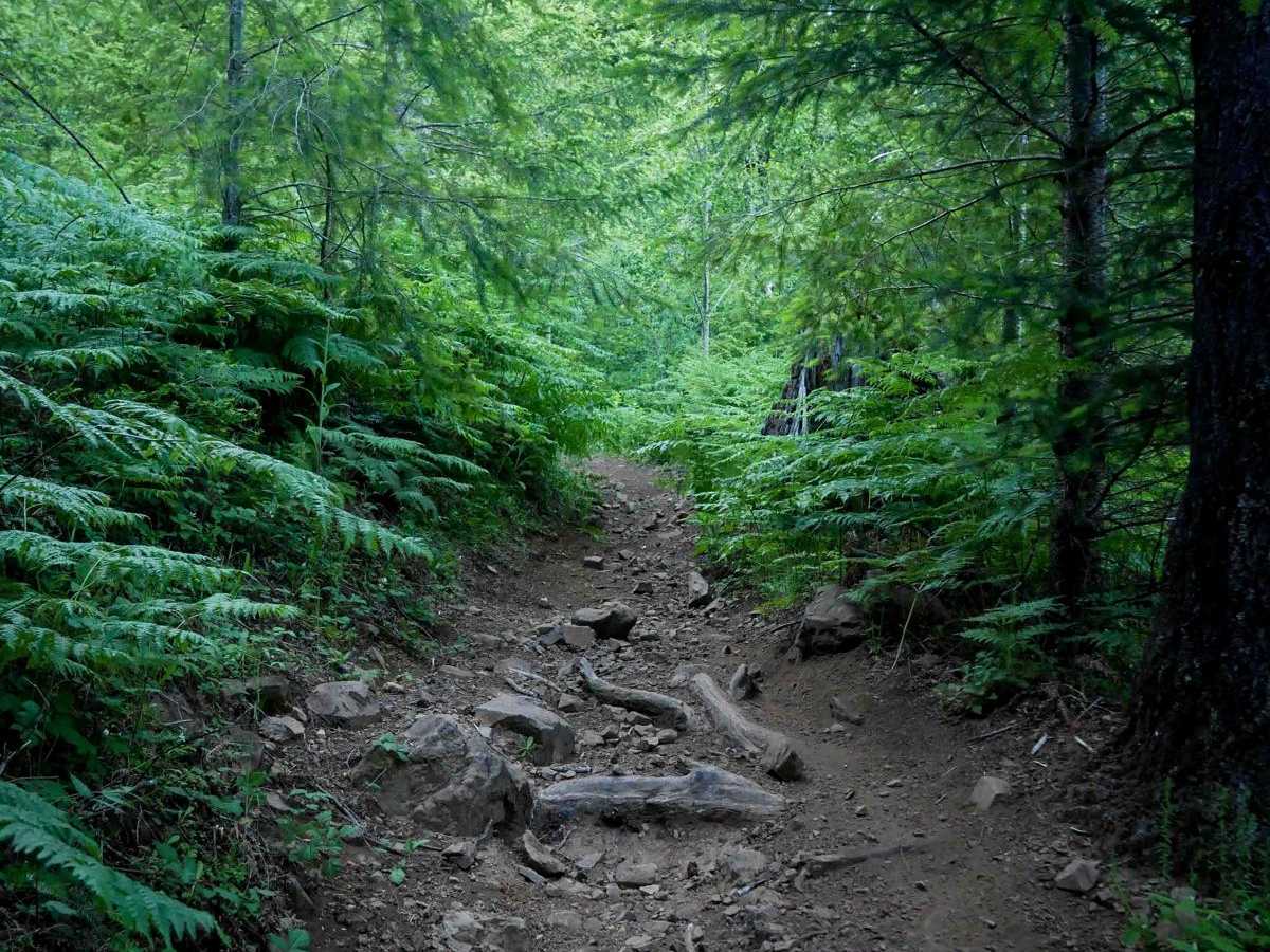 Plastic Downhill #110 trail photo