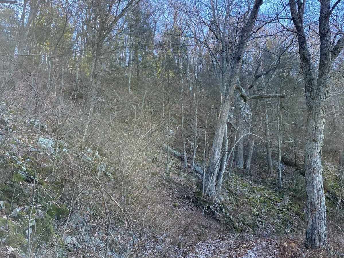 FSR #85-2 Hall Spring Road photo 3