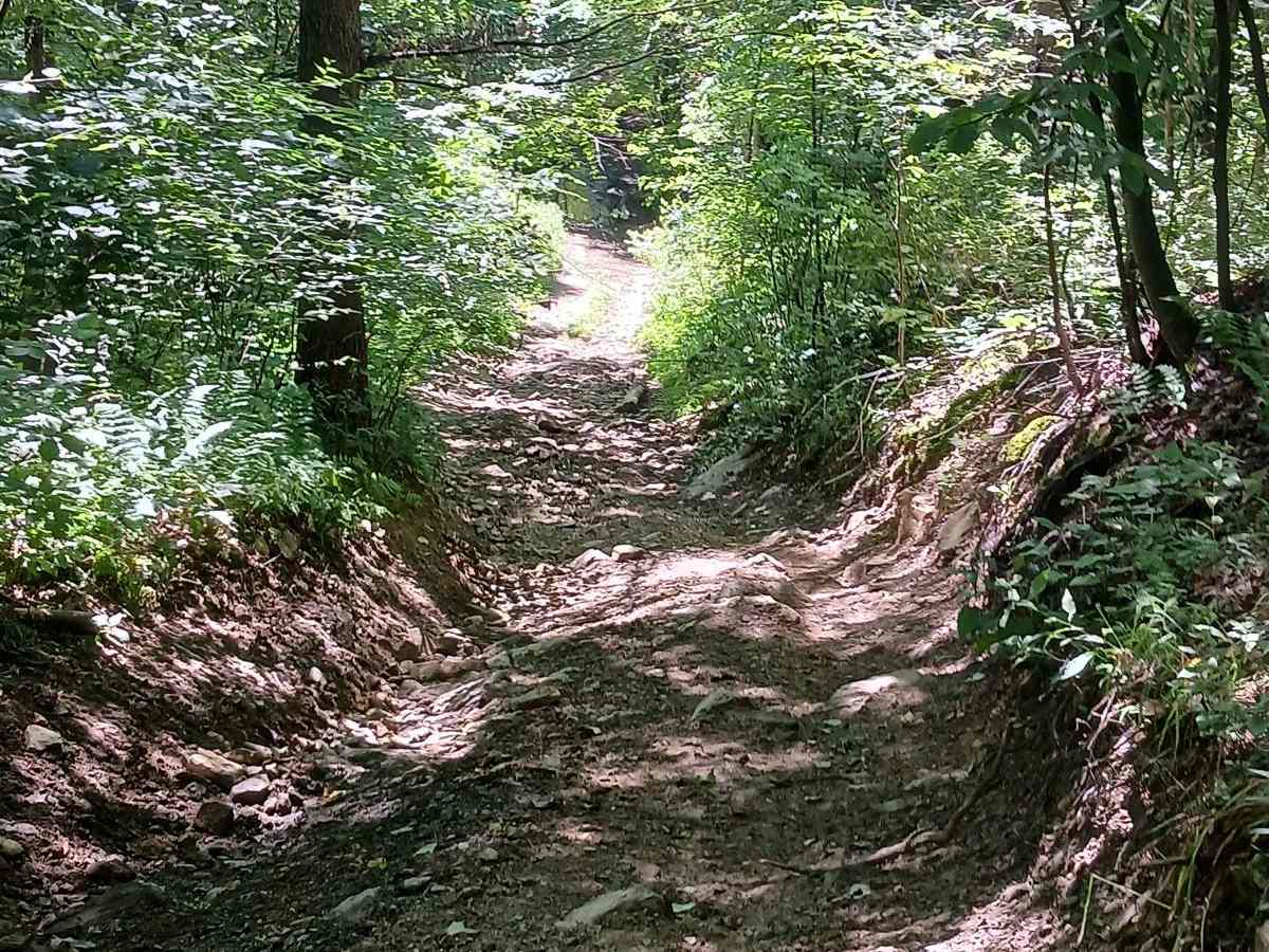 Trail 14A - Rock Run Recreation Area photo 4