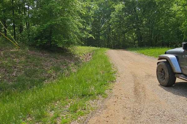 Forest Service Road 401