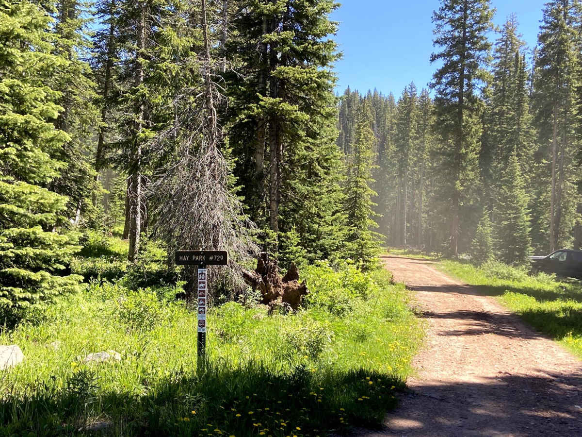 Hay Park (#729) trail photo