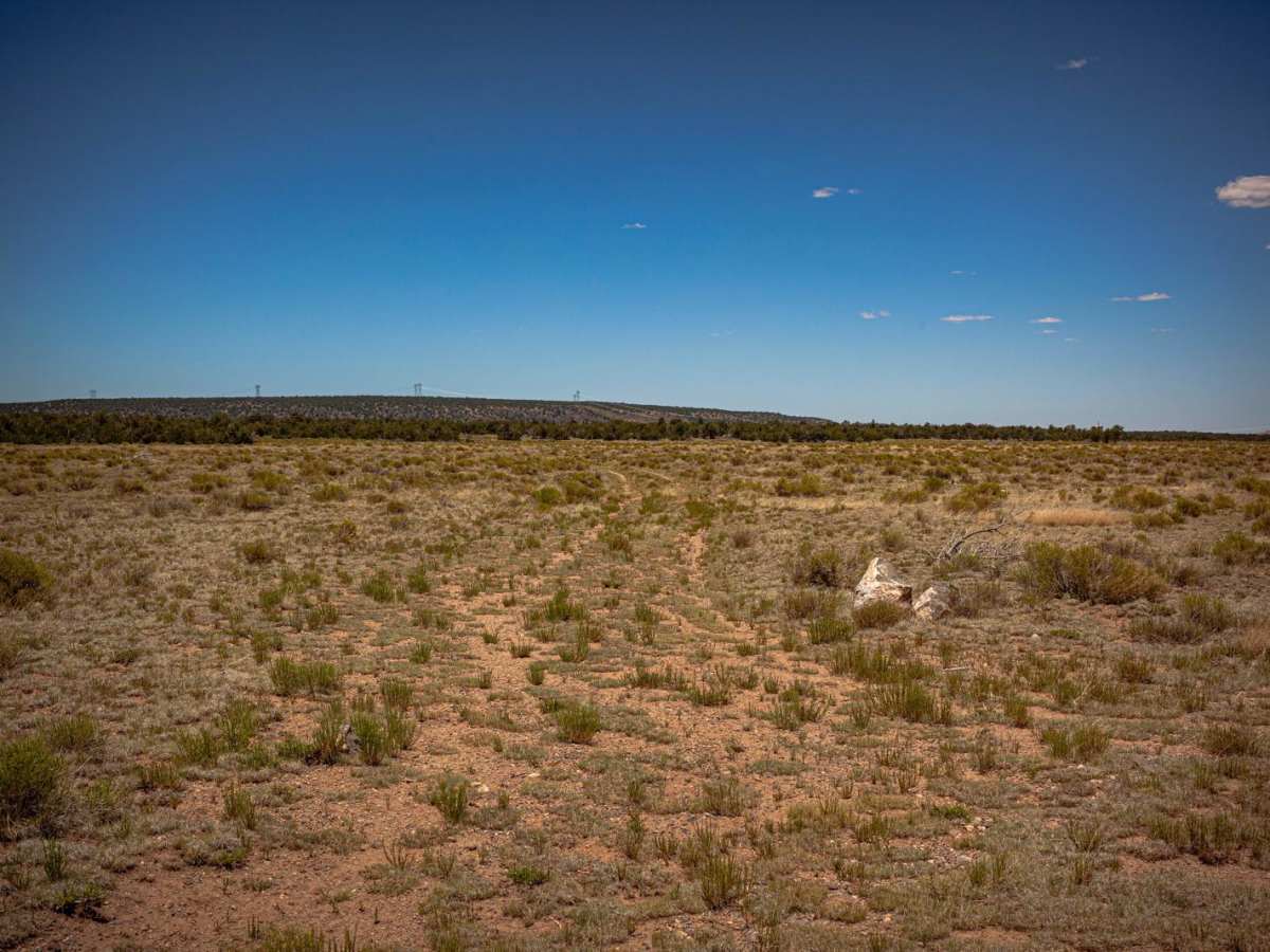 Surrounding Smoot - FR2018 trail photo