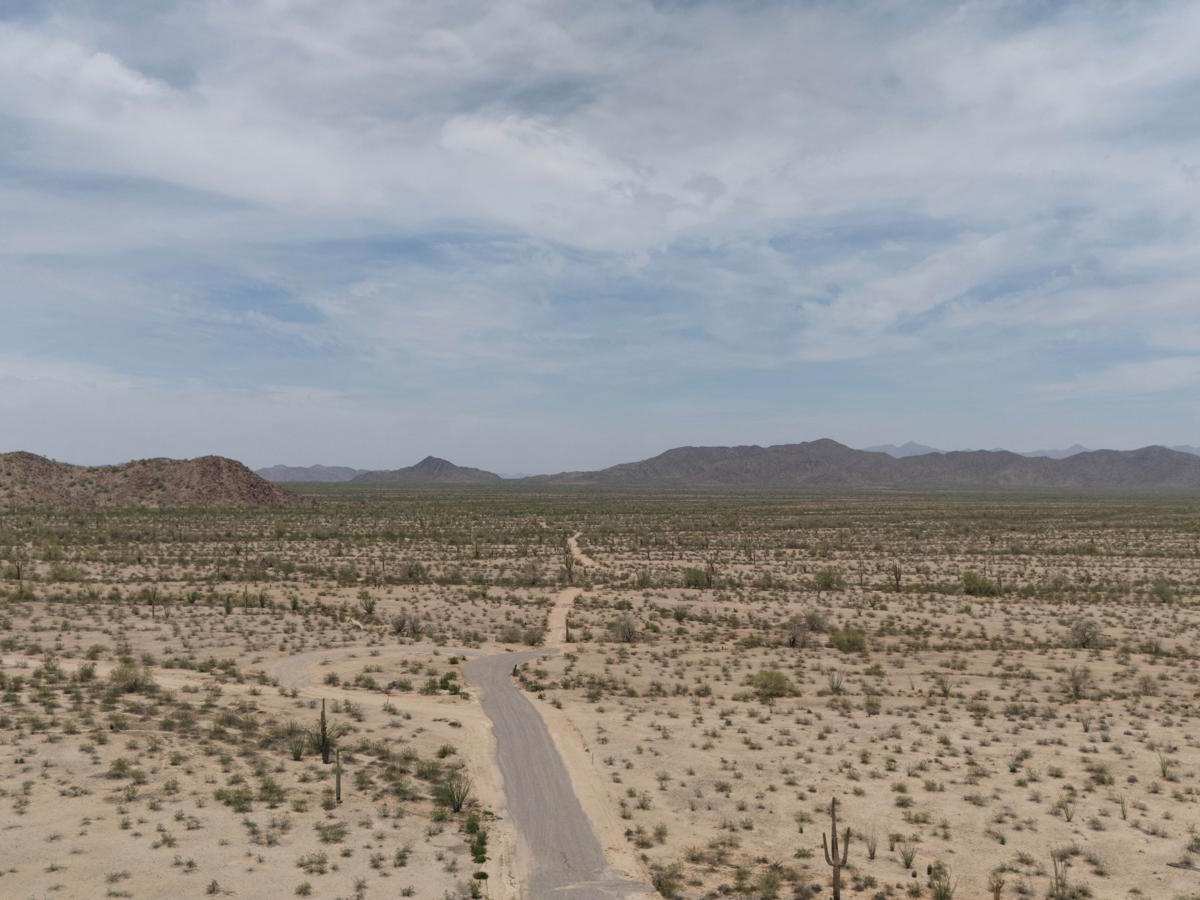 Sonoran Desert National Monument Trail photo 4