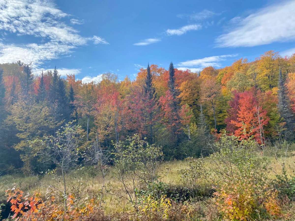 Huron Bay-Peshekee Grade Loop photo 3