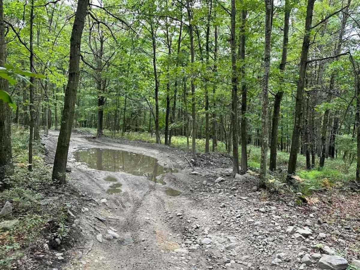 XC - One green trail photo