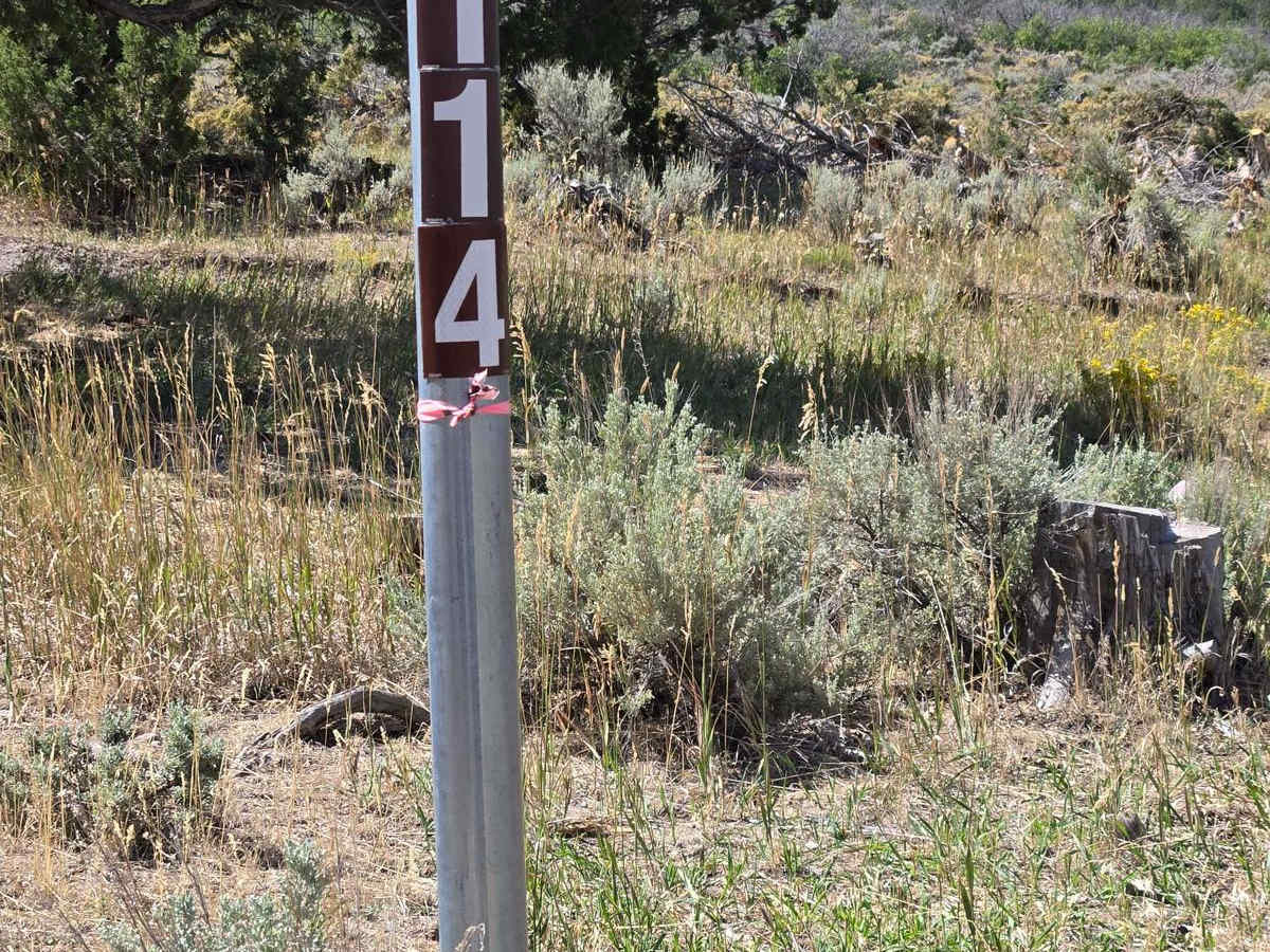 Forest Service 114 photo 2
