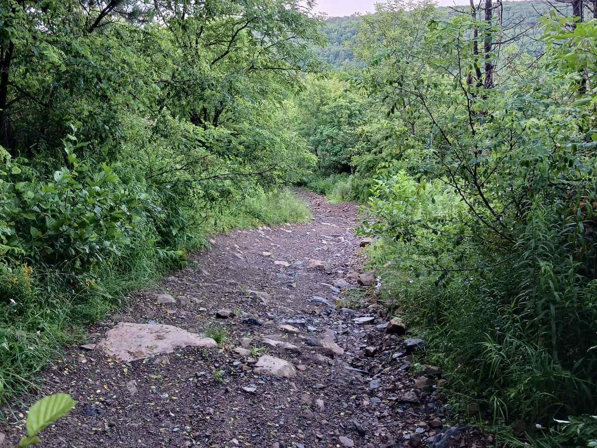 Trail 11K - Rock Run Recreation Area photo 5