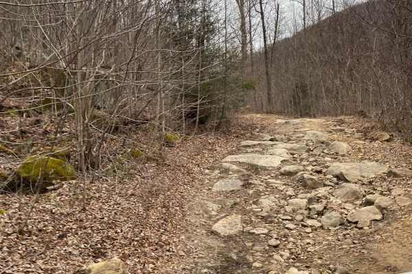 Trail 56 Windrock
