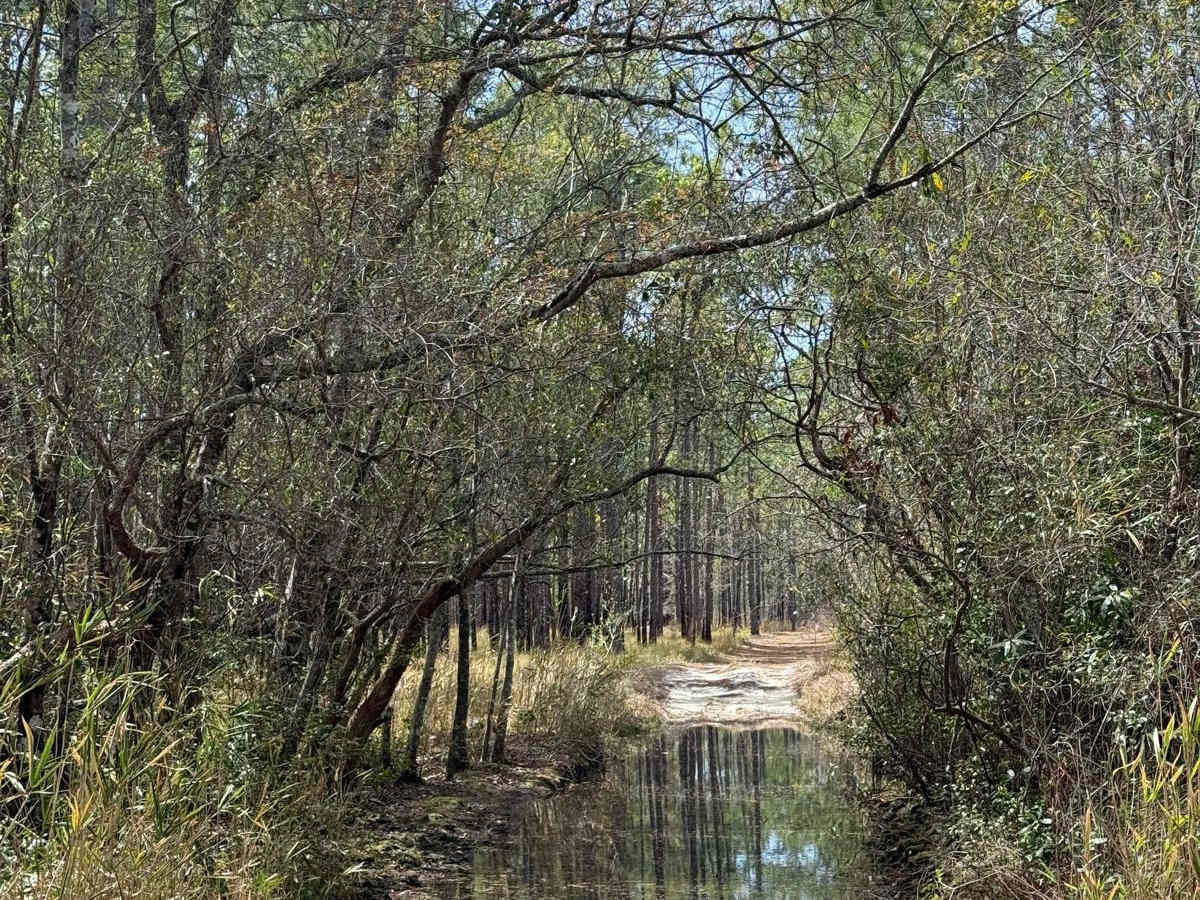 Pringle Road Spur 1 photo 6