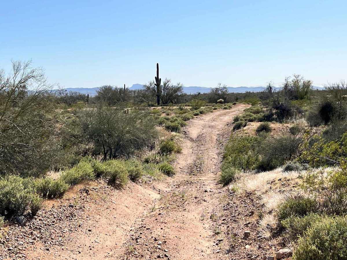 Reserve Bank Mine Trail trail photo