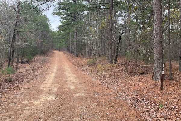 Tram Ridge Trail