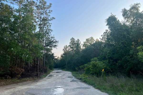 Citrus Wildlife Management | Trail 9