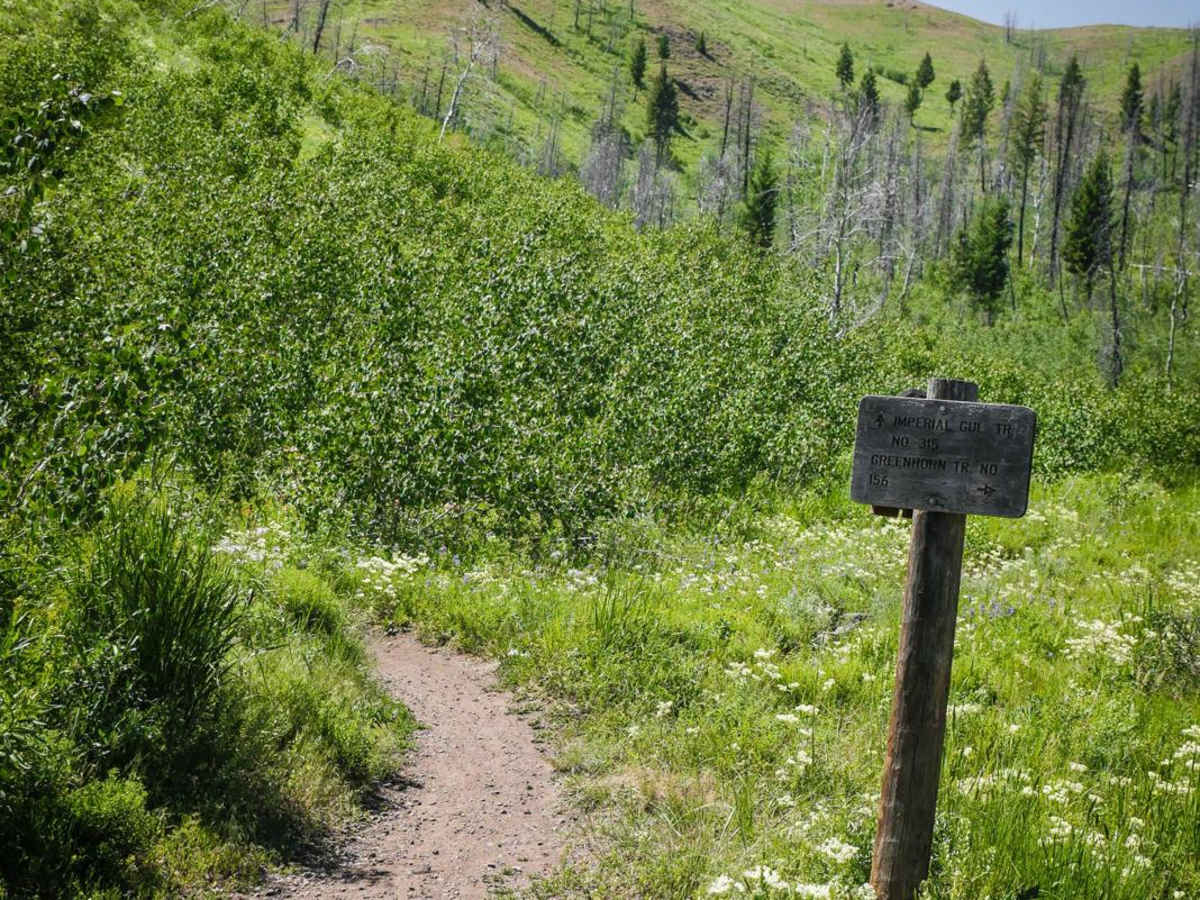 Imperial Gulch photo 2
