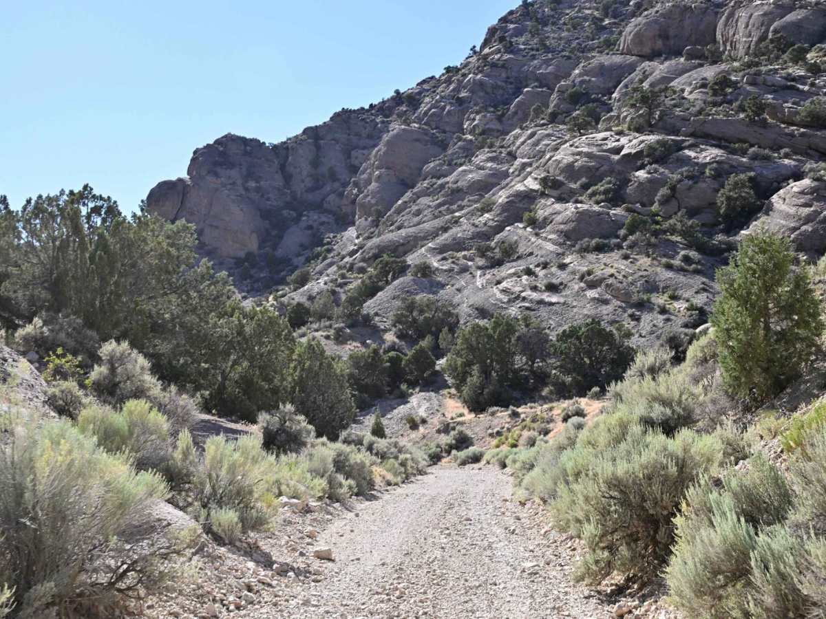 Mellor Canyon Road trail photo
