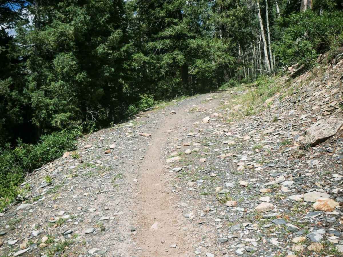 Box Canyon Spur photo 4