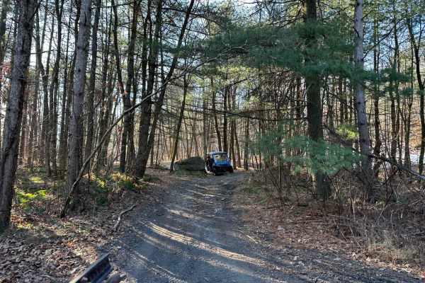 Locust Gap 17