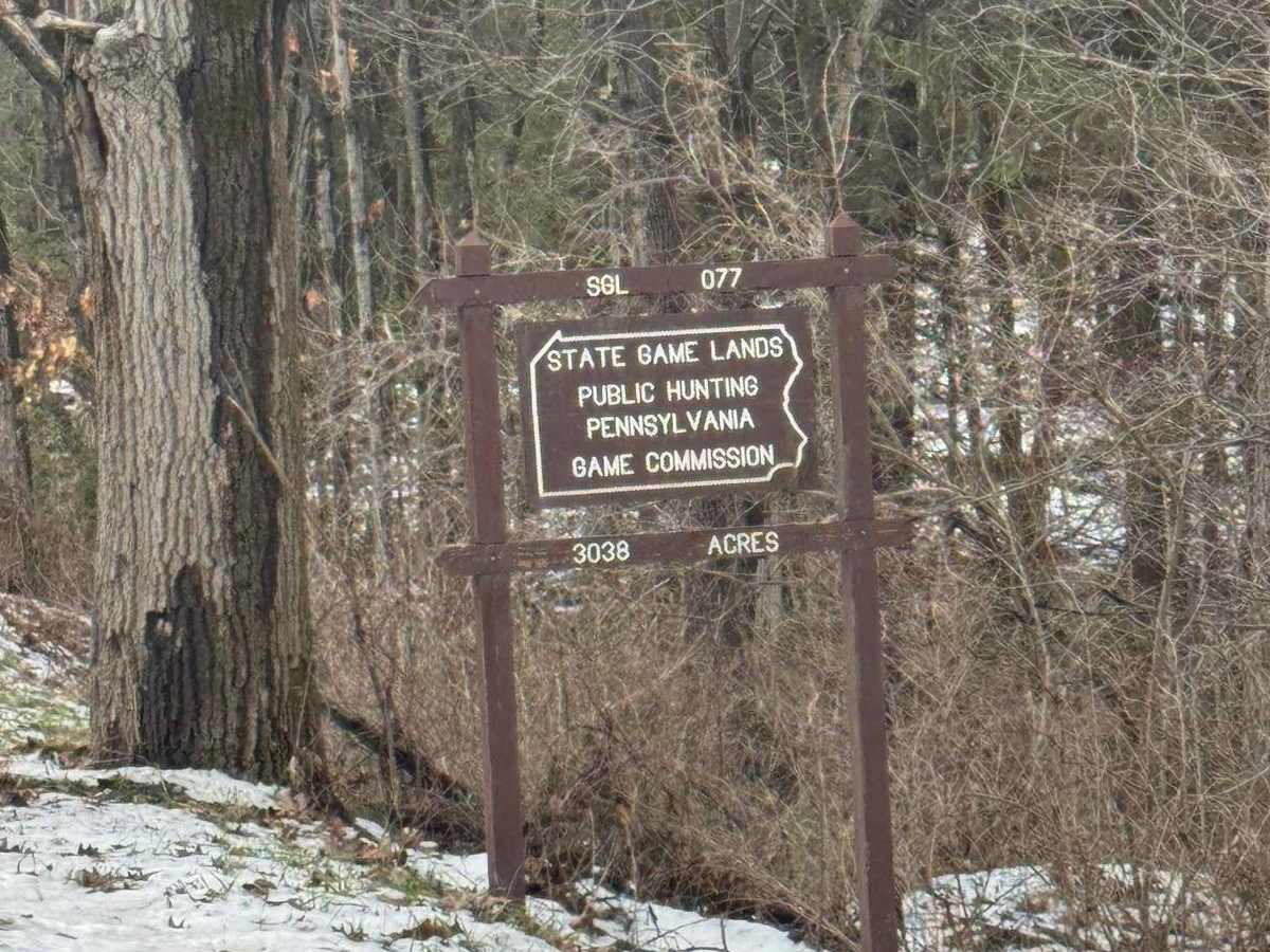 Countyline Road photo 2