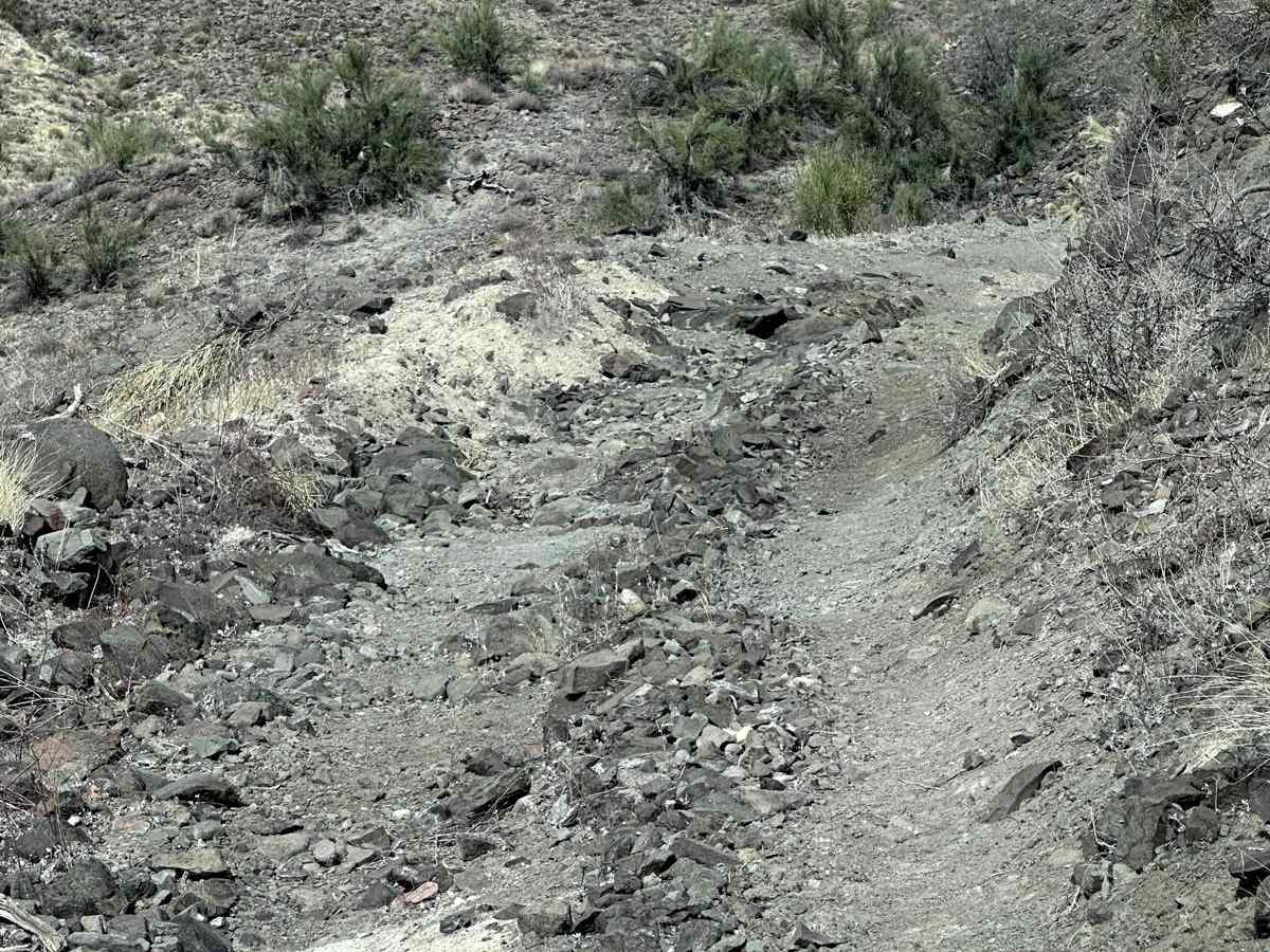 Cholla Pass Trail - H1165 photo 4