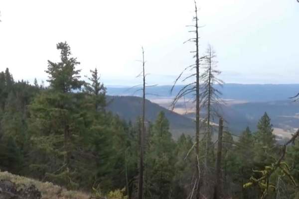 Baker Creek - 4W327