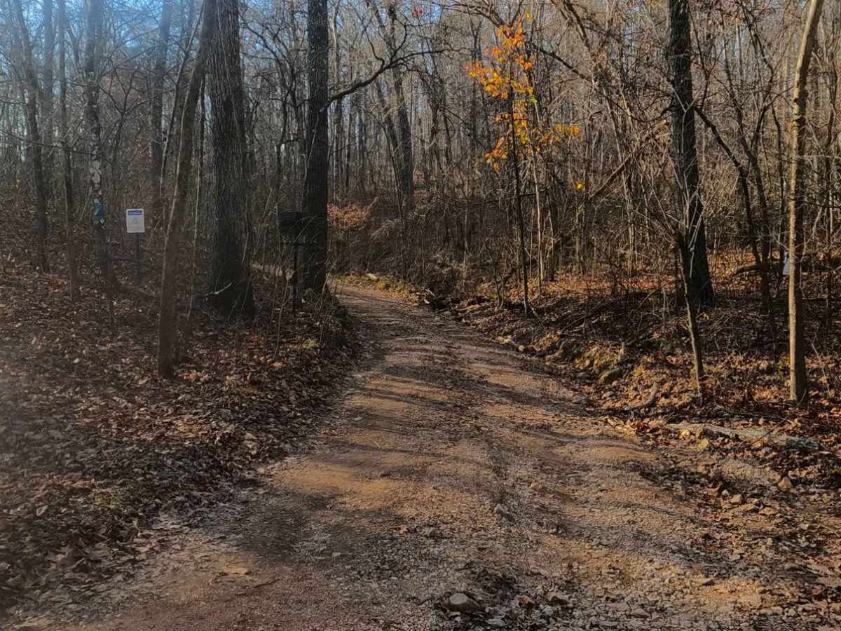 Mid Ridge Road photo 3