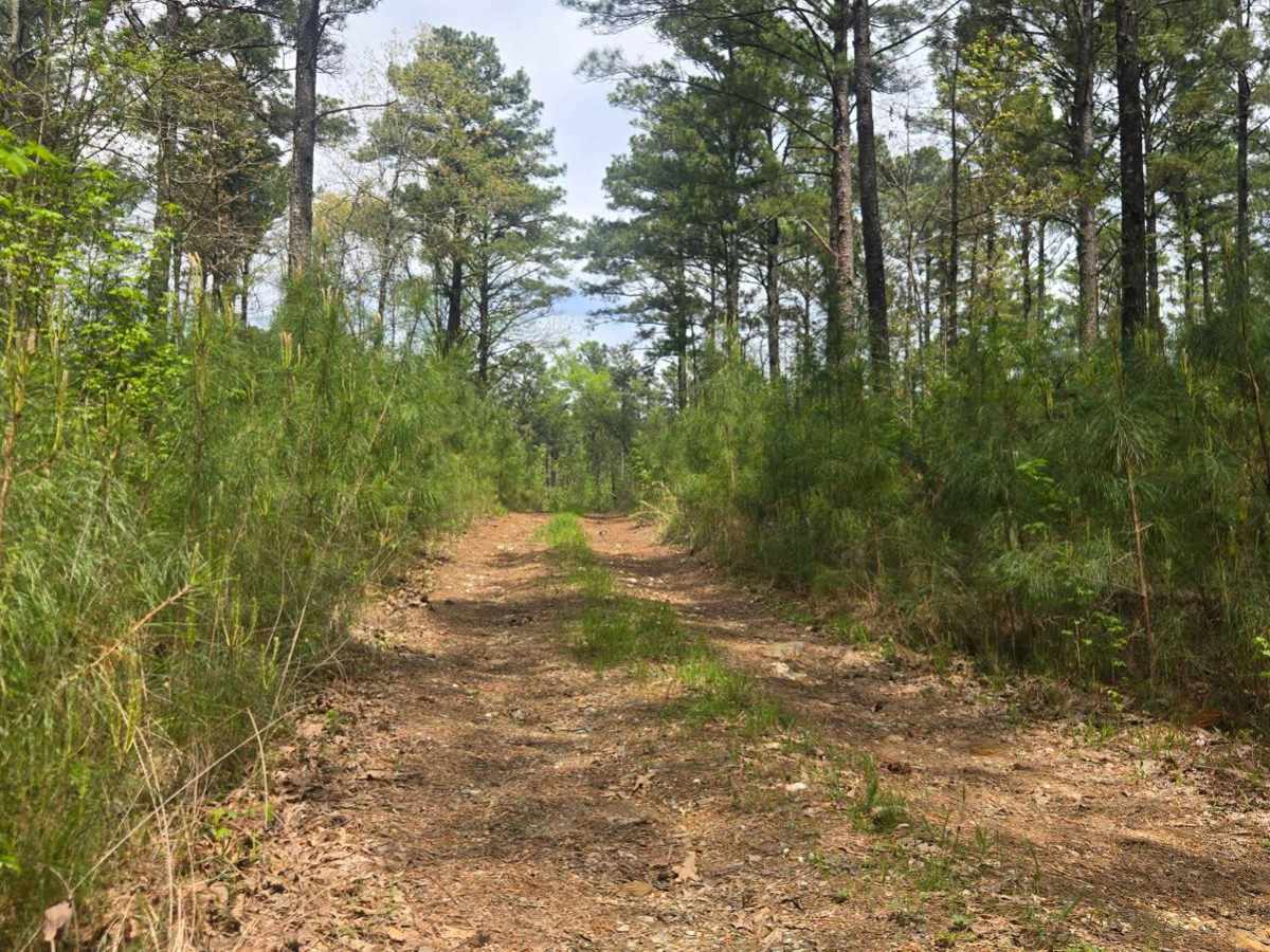 Golf Course Trail photo 4