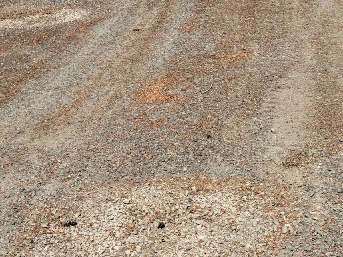 FR 86 - Cave Creek photo 2
