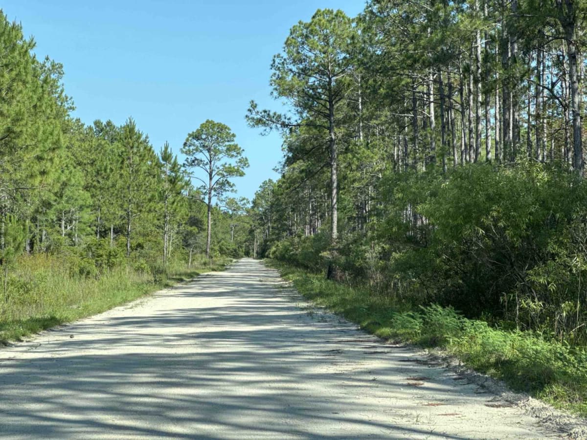 Buck Siding Road photo 6