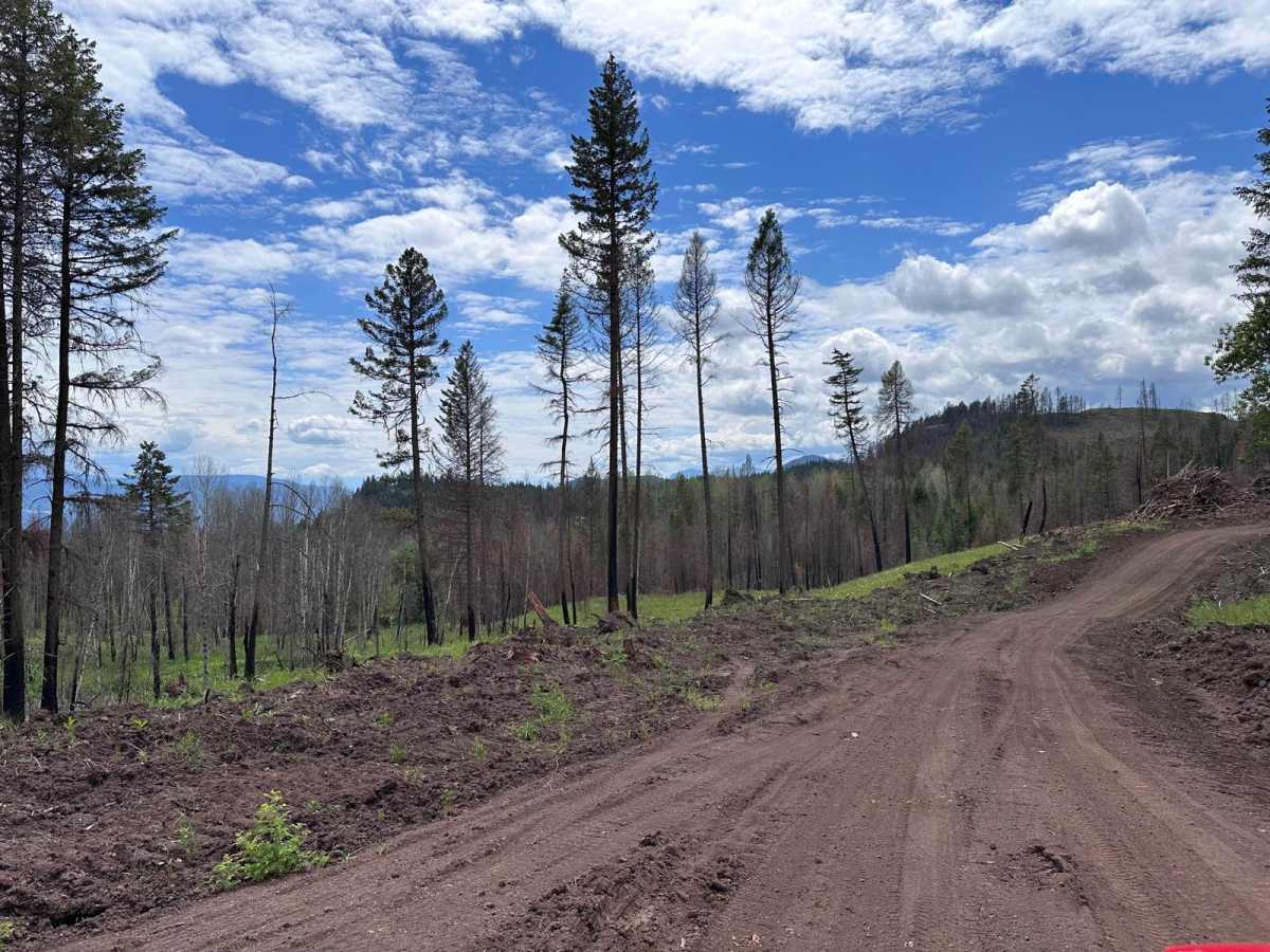 New Fire Road trail photo