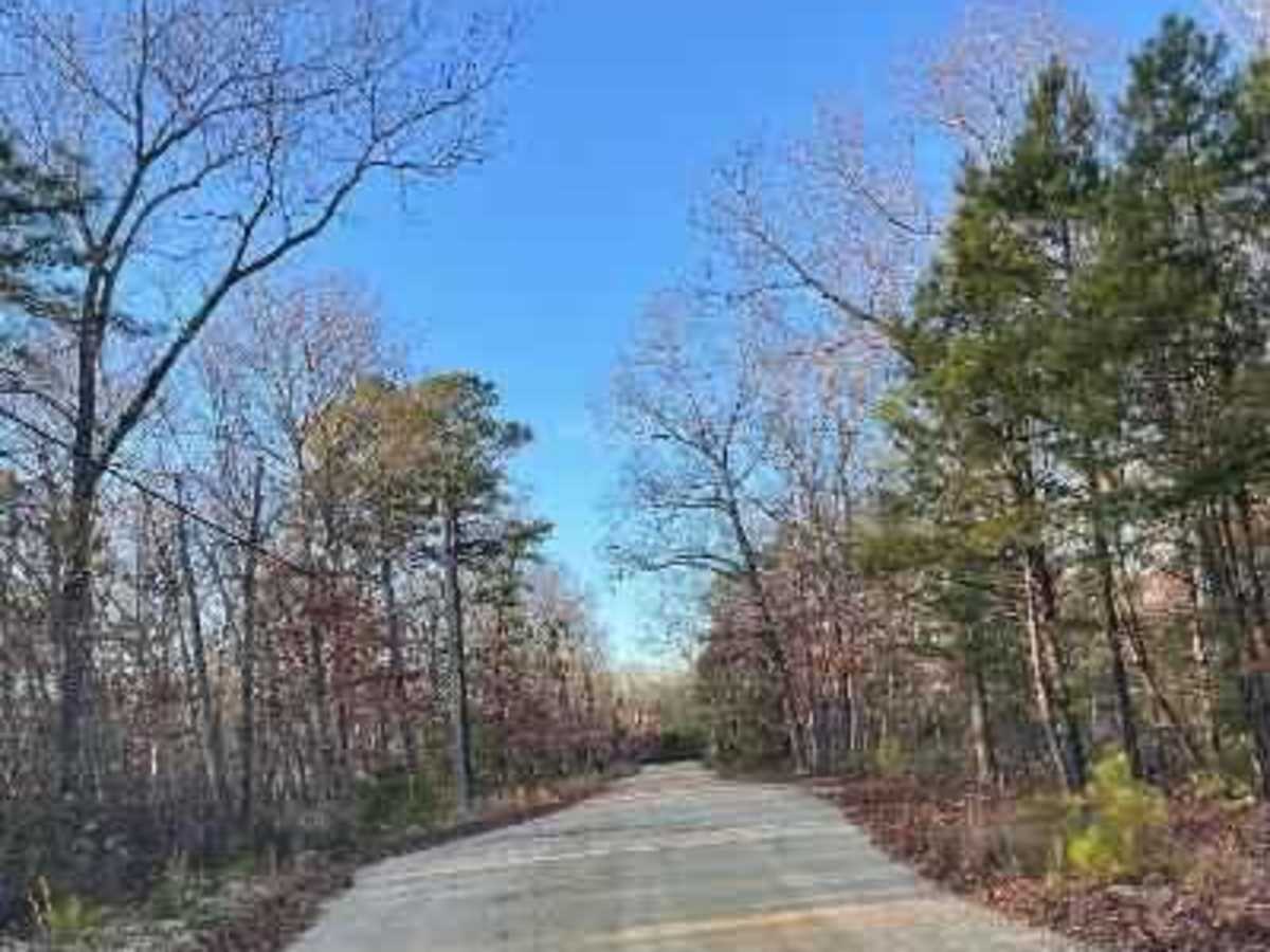 Make Peace Lake Road photo 6