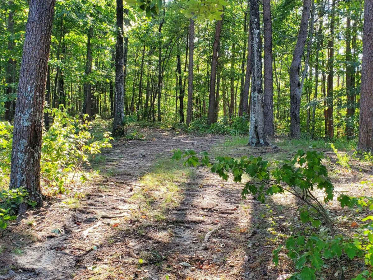 Hammond Gap - FSR 259 photo 6